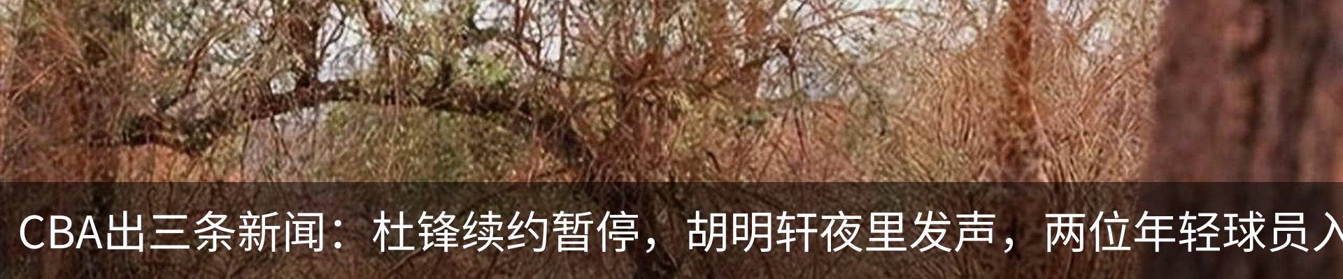 内页banner